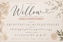 Elegant Handwritten Script Font
