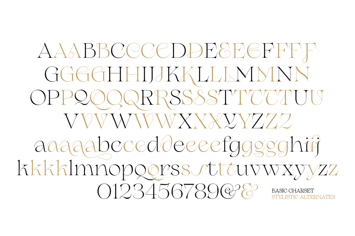 Erotique - 10 fonts, a Serif Font by Zetafonts (Photo 8 of 14)