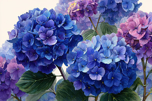 Vibrant Blue and Purple Hydrangeas B, a Photo by Pixeness Studio