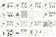 The Amazing Watercolor Bundle, an Object Illustration by Creativeqube Design (Thumbnail 52 of 75)