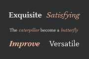 Slippery; Warm Serif, a Serif Font by Eko Bimantara (Thumbnail 4 of 11)