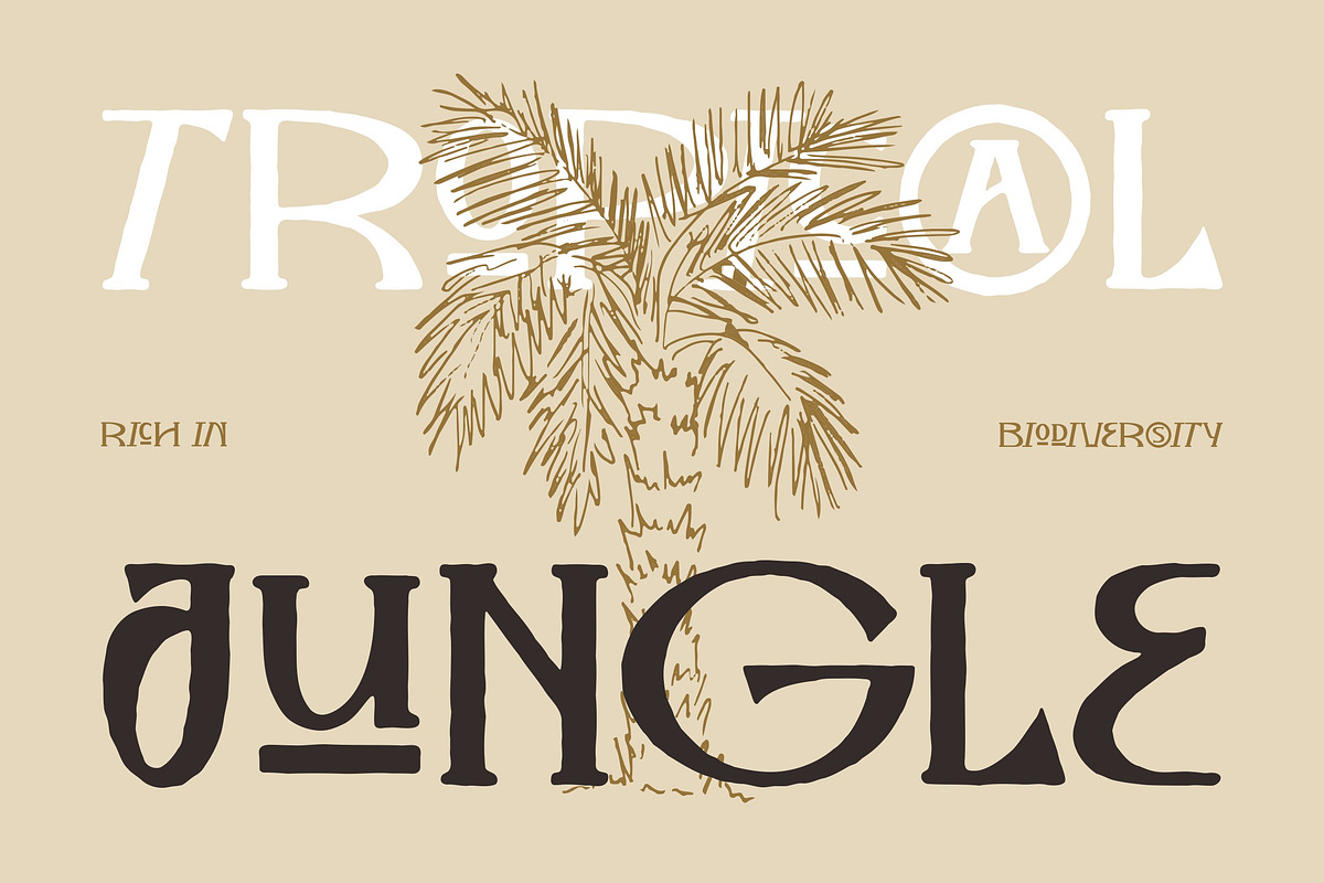 The Folk Moonlight - Display Serif, a Serif Font by ErgibiStudio (Photo 8 of 10)