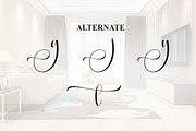 Homestay | Script Font, a Handwritten Font by Scratchones (Thumbnail 8 of 9)