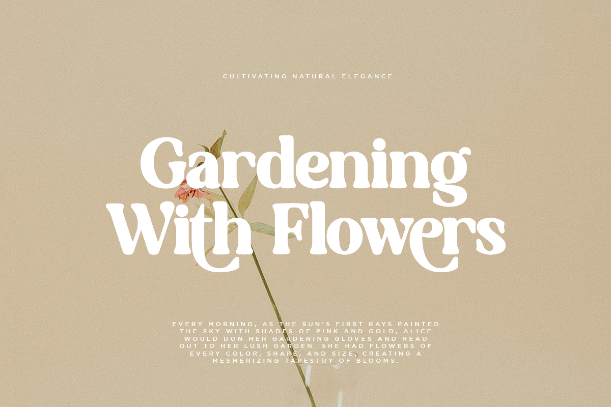 Buffy | Serif Font, a Serif Font by Taboja Studio (Photo 4 of 9)