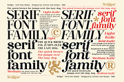 Wolfgar - Serif Font Family, a Serif Font by Artistic & Unique (Thumbnail 14 of 15)