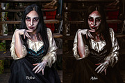 30 Zombie Lightroom Collection, a Preset Add-On by 3Motional (Thumbnail 8 of 11)