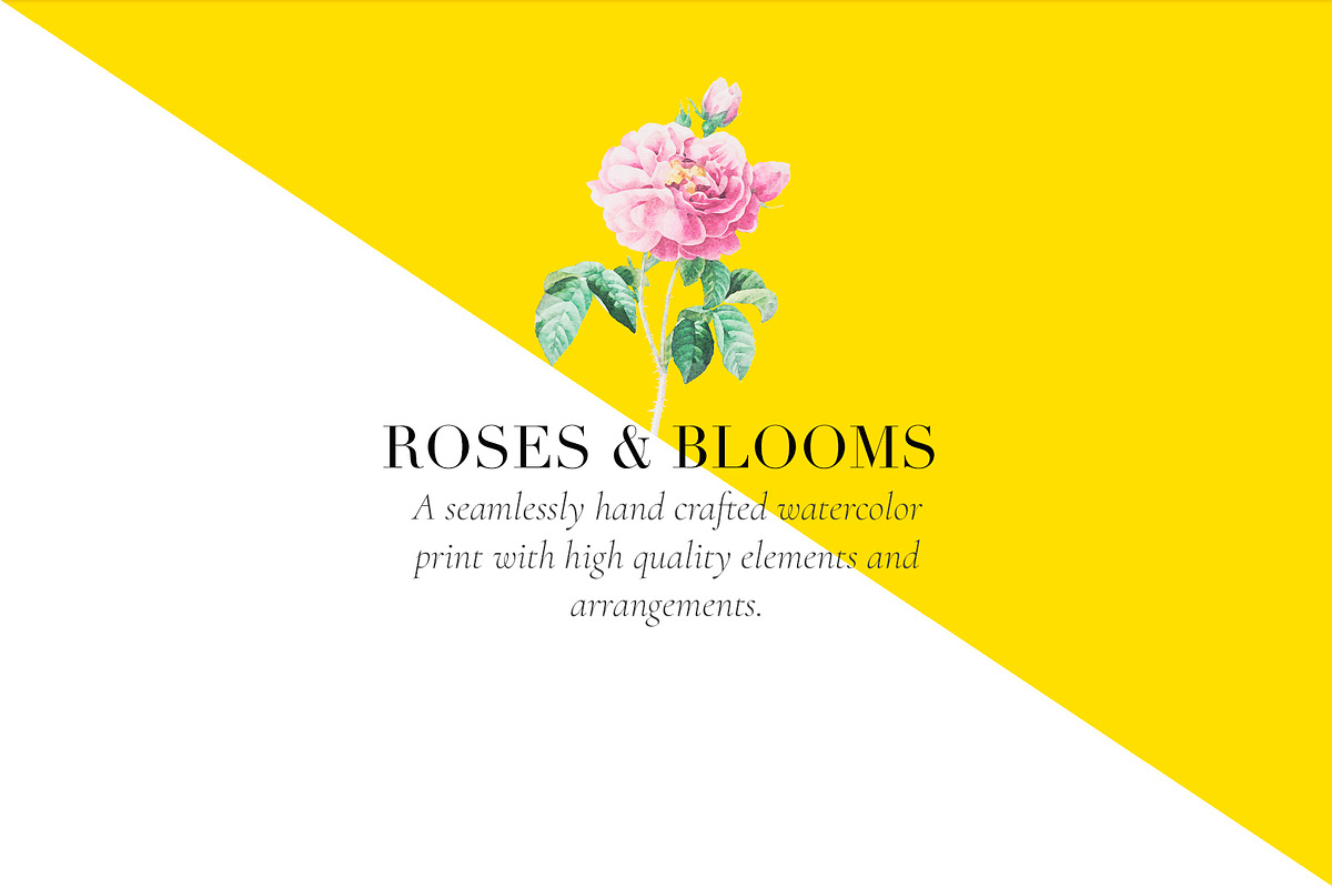 Roses & Blooms, a Pattern Graphic by TSTUDIO (Photo 2 of 9)