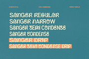 Sanger, a Sans Serif Font by Fargun Studio (Thumbnail 6 of 20)