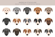 American Staghound dog, an Animal Illustration by pet design shop (Thumbnail 5 of 6)