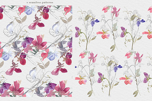 Watercolor Sweet Pea Clipart Set