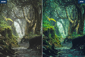 Forest Lightroom Presets