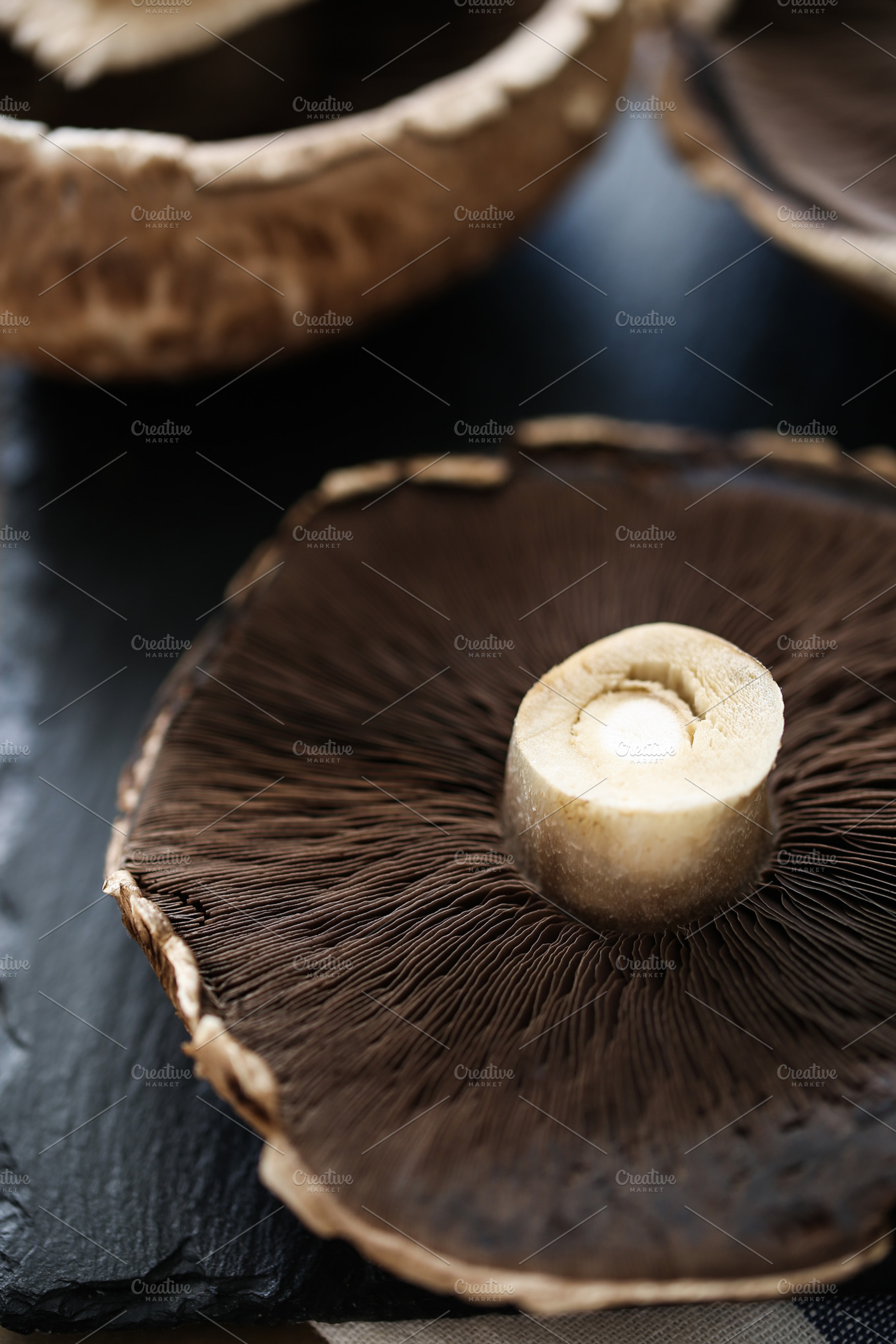 Portobello mushroom stock photo containing portobello mushroom and mushrooms, a Food & Drink Photo by The Little Wild Apple