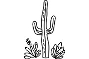 Desert Cactus SVG Bundle, an Object Graphic by Designer_Momina (Thumbnail 2 of 16)