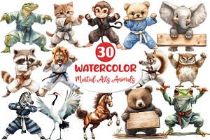 Martial Arts Animals Sublimation, an Illustration by Dream Creation