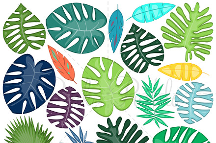Tropical Leaves Clipart and Vectors