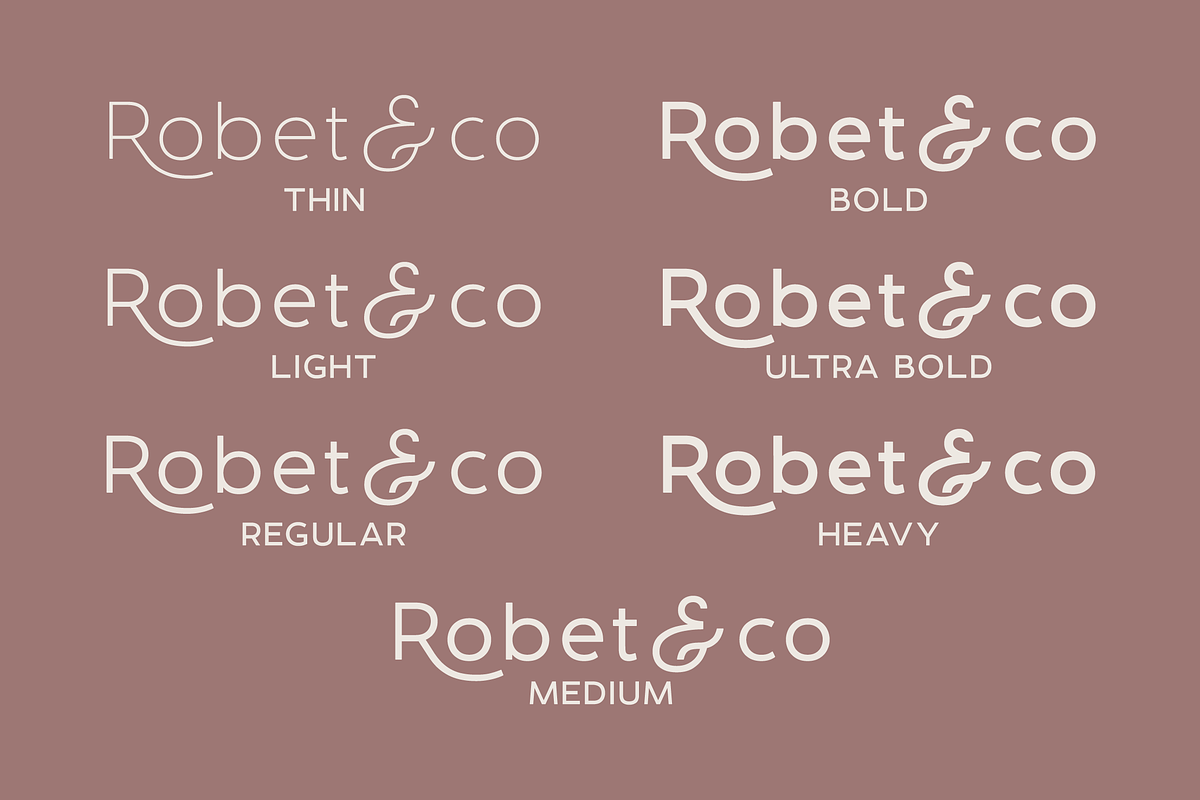 DelRay - Sans Serif Ligature Typefac, a Serif Font by Surplus Type Co (Photo 12 of 13)