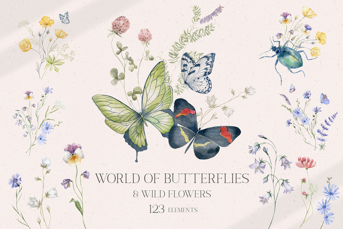 World of Butterflies & Wild Flowers., a Seasonal Illustration by Designwork (Photo 1 of 20)