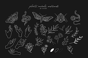 Celestial Magic Logo & Branding Art, a Texture Illustration by FEM Creative Studio (Thumbnail 4 of 10)