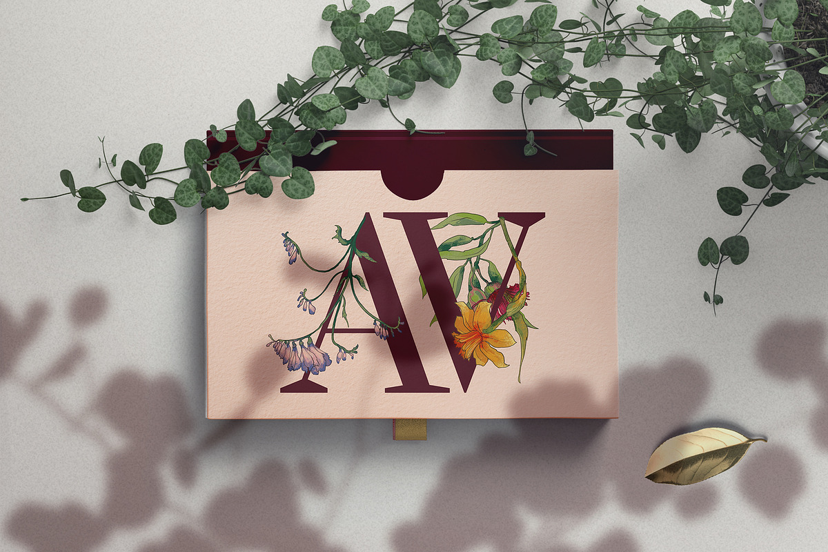 Flower Queen. Botanical vintage, an Object Illustration by Colden Blue (Photo 11 of 14)