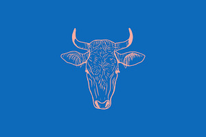 Vector Bovine Graphics