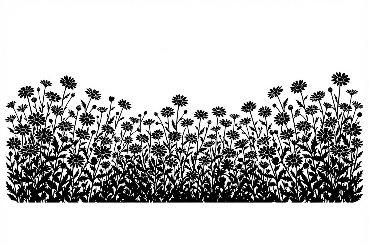 60 Daisy Flower Field Silhouette, a Seasonal Illustration by Amazin_art (Photo 16 of 35)