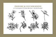 Botanical Illustration Bundle, an Illustration by Rough Edges Supply Co. (Thumbnail 5 of 17)