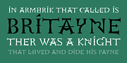 Nylon & Draylon, a Serif Font by Barnbrook Fonts (Thumbnail 3 of 6)