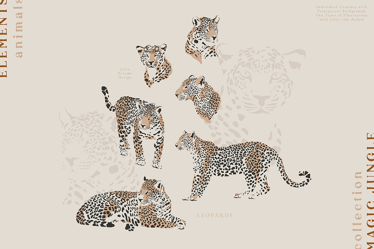 Magic Jungle Collection, an Animal Illustration by Julia Dreams (Photo 7 of 11)
