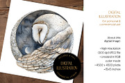 Barn Owl In Moon Circle Illustration, an Animal Illustration by The Dutch Lady Designs (Thumbnail 2 of 4)