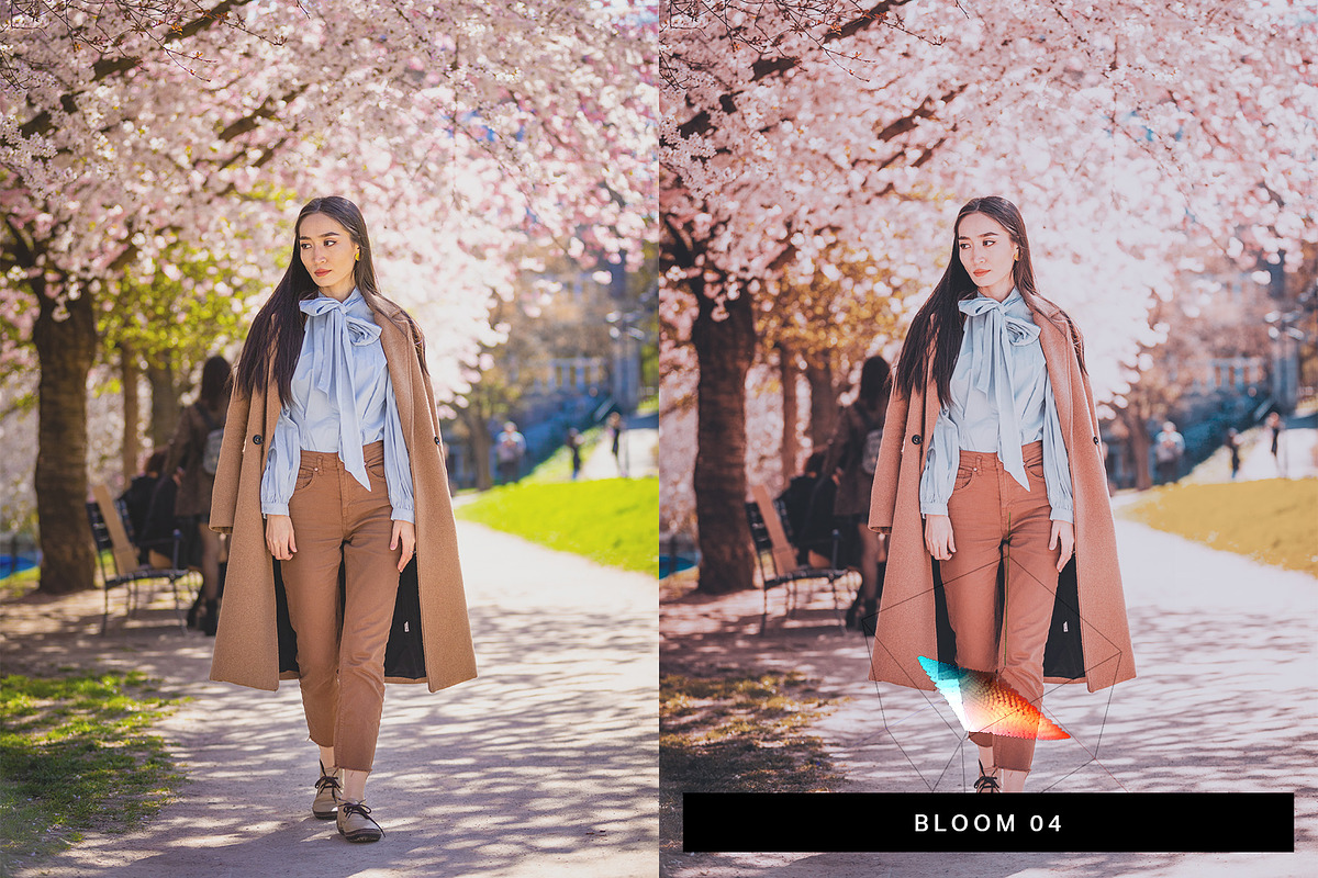 50 Sakura Lightroom Presets and LUTs, a Preset Add-On by SparkleStock (Photo 2 of 10)