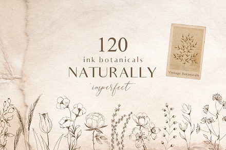Ink Botanicals Vintage Wildflowers, a Texture Illustration by Kaya Fonts