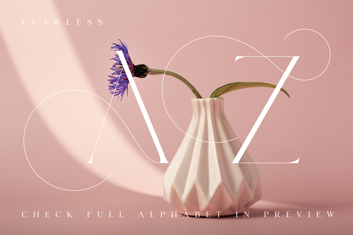 Veilan Serif Delicate font, a Serif Font by Andfonts (Photo 13 of 13)