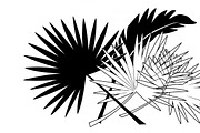 Stylish tropical palm wall decor, an Illustration by Amazin_art (Thumbnail 27 of 33)