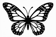 Delicate Butterfly Laser Cut Design, an Illustration by hafijul (Thumbnail 5 of 13)