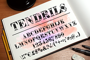 Tendrils Decorative Font, a Font by Digital Typeface Studio (Thumbnail 3 of 6)