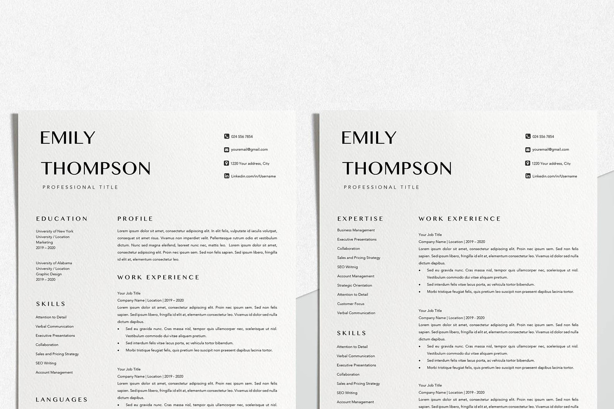 Resume Template Professional, a Resume Template by LucaTheme (Photo 5 of 10)