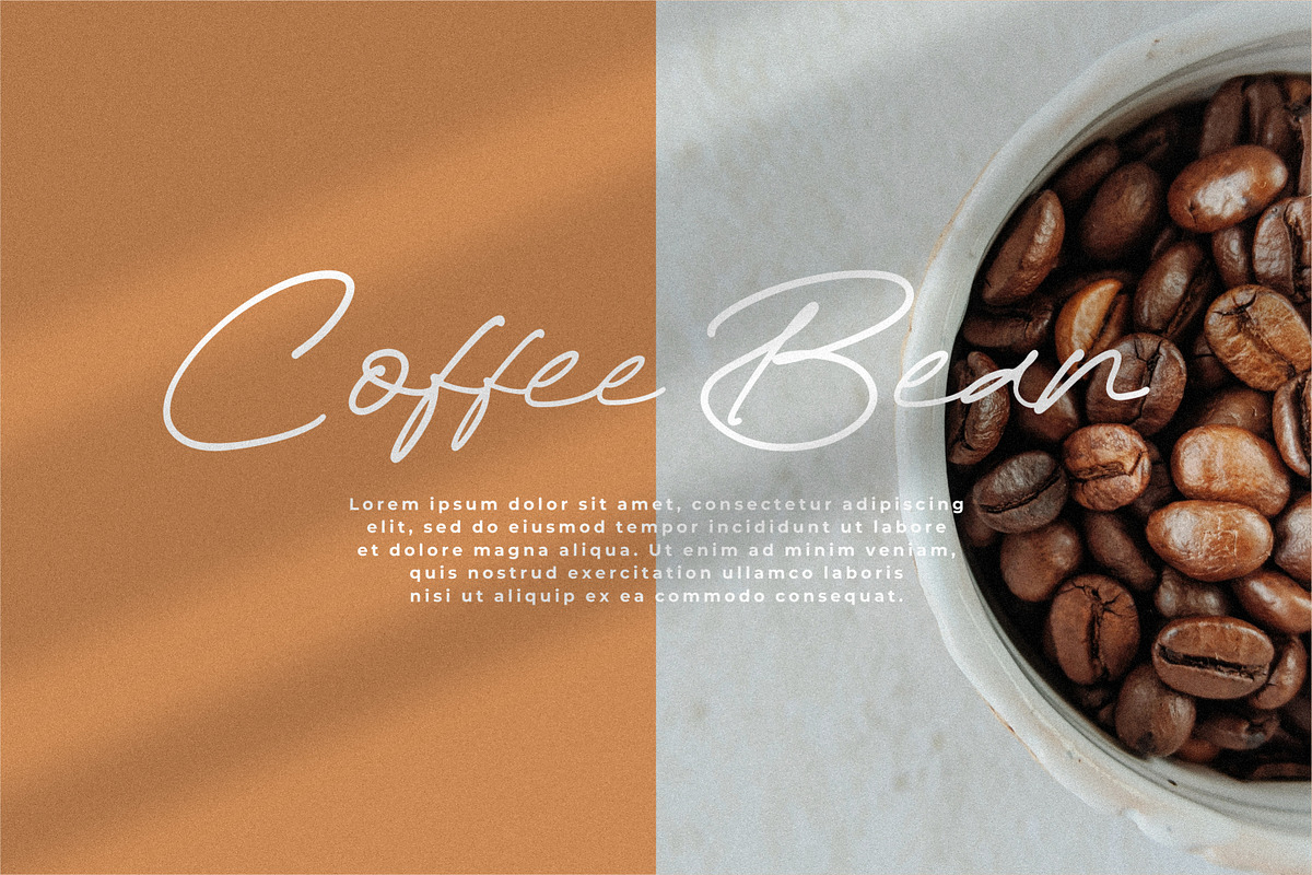 Rinatha, a Script Font by Integritype Studio (Photo 9 of 15)