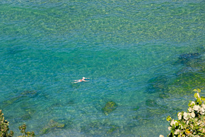 A lone swimmer in crystal-clear turquoise water, viewed from above. Sunlit sea, a Holiday Photo by Ales Munt
