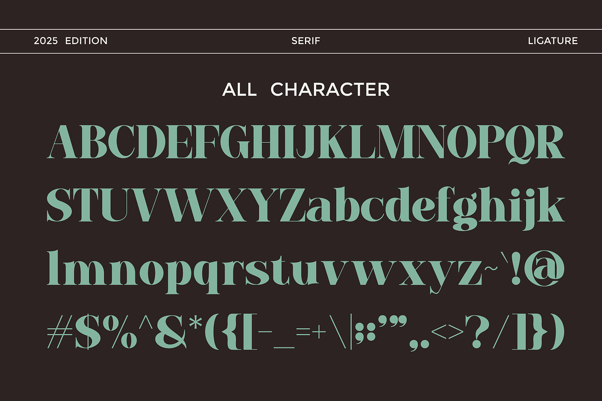 Baflen - Modern Serif Typeface, a Serif Font by MaikoHatta (Photo 3 of 8)
