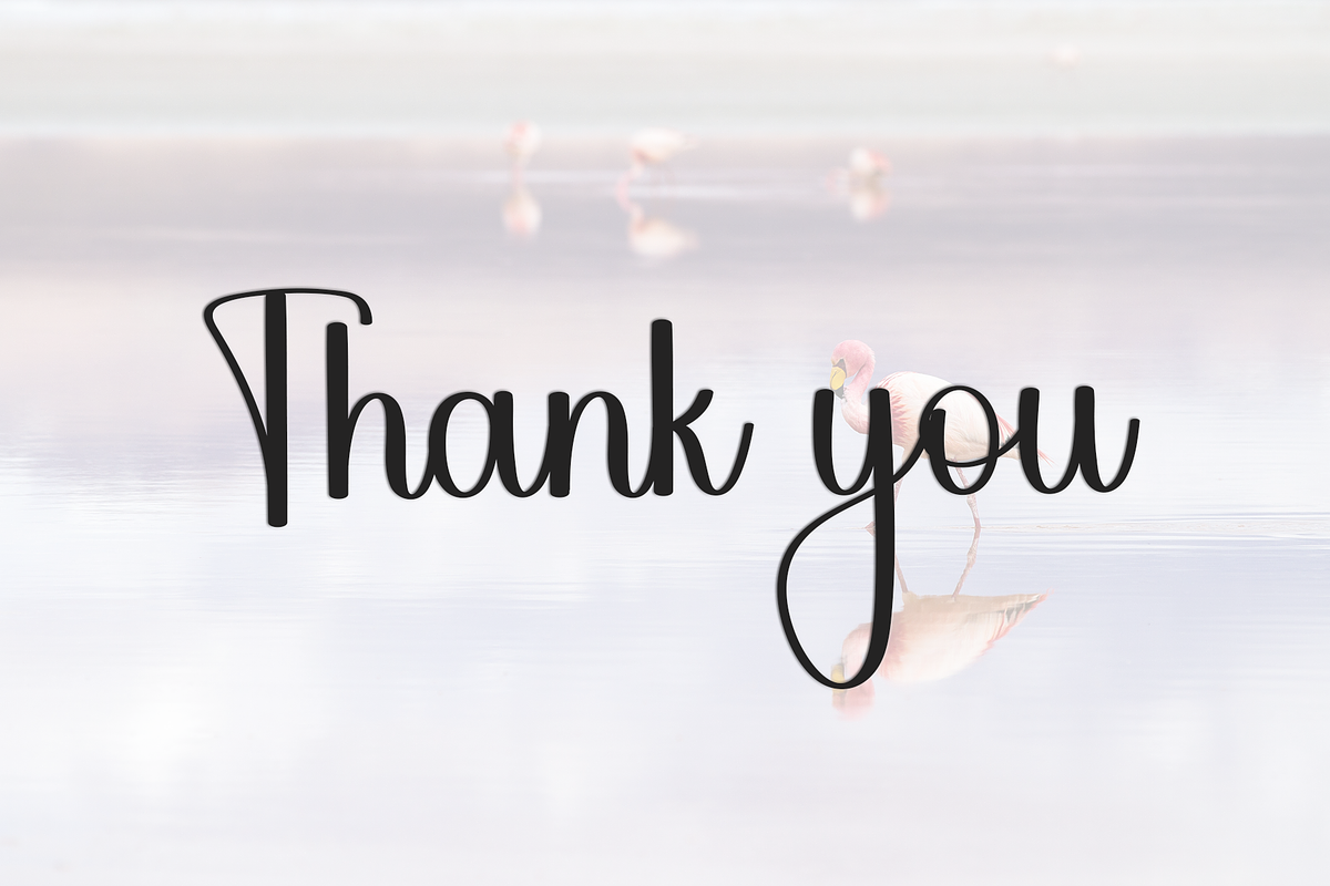 Wednesday, a Handwritten Font by FreshTypeINK (Photo 8 of 8)