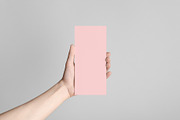 DL Flyer Mockup, a Mockup by Shablon (Thumbnail 2 of 3)