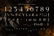 Unique Elegant Luxury Font - Magenta, a Serif Font by Sensatype (Thumbnail 10 of 12)