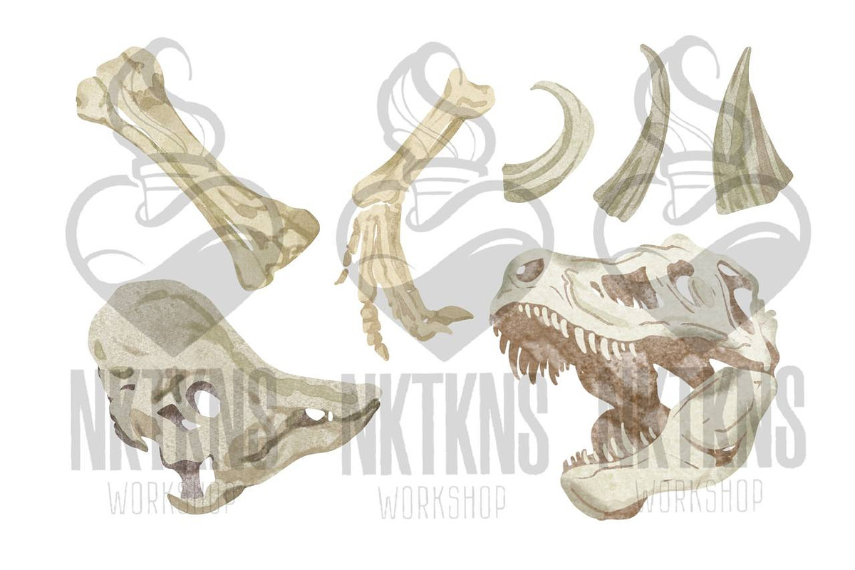 Dinosaur Skeleton Watercolor, an Animal Illustration by NKTKNS (Photo 3 of 6)