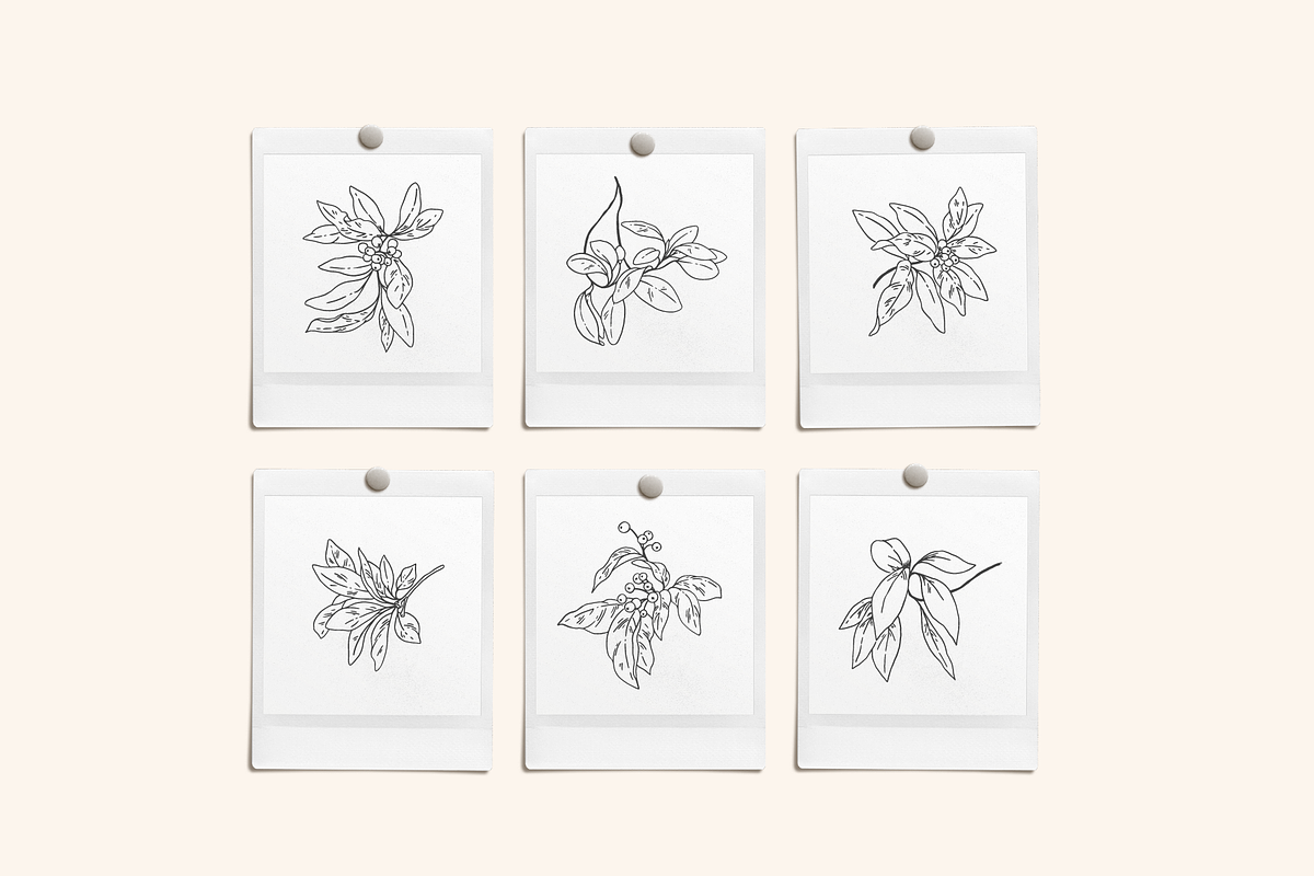 Botanical Sketch Vector Illustration, a Decorative Illustration by Emma Webb Studio (Photo 6 of 7)