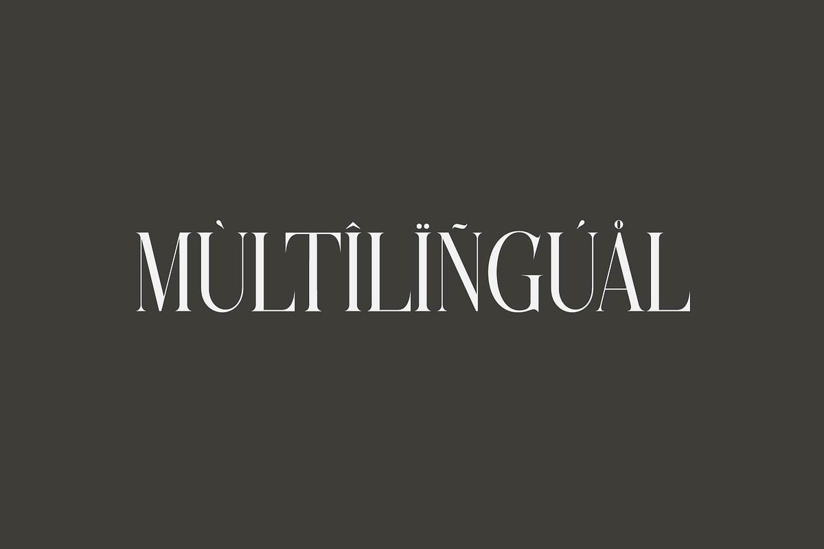 cheerfull, a Serif Font by jaffana.co (Photo 5 of 7)