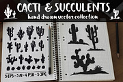 Vector Cacti & Succulents Set, an Object Illustration by MSA-Graphics (Thumbnail 1 of 6)