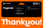 Pogonia - Modern Font Family, a Sans Serif Font by Asenbayu (Thumbnail 14 of 14)