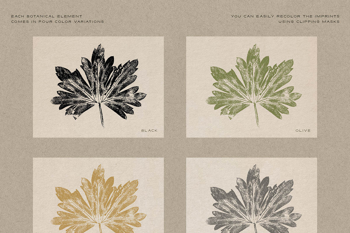 Hand-Pressed Botanical Imprints, an Object Graphic by alonahaidash (Photo 10 of 13)