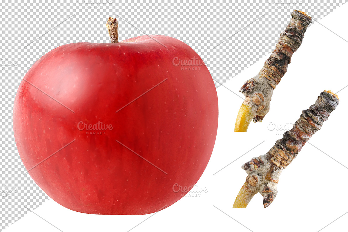 Red apples, an Object Graphic by Fruits+Veggies (Photo 5 of 8)