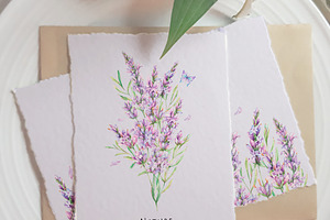 Watercolor Lavender Clip Art